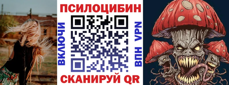 Купить где  Харовск  Псилоцибиновые грибы GOLDEN TEACHER 